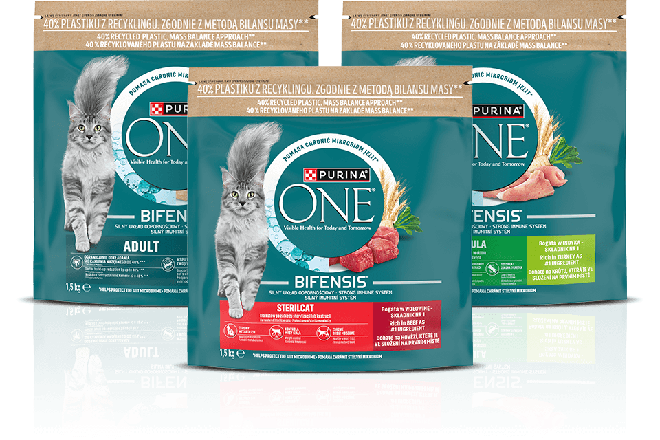 Purina One zdjęcie saszetek karmy