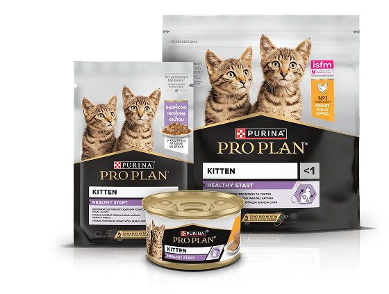 Darmowa karma - PURINA® PRO PLAN® KITTEN